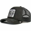 Unbranded Animal Shape Embroidered Baseball Cap Fashion Personality Hip-hop Hat Unisex Trend Hat-little Raccoon Adult Unisex 1 Unbranded Animal Shape Embroidered Baseball Cap Fashion Personality Hip-hop Hat Unisex Trend Hat-little Raccoon Adult Unisex -Apparel Sales Store 690225533 max